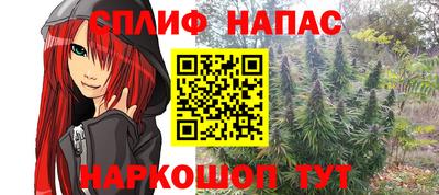 индика Бузулук