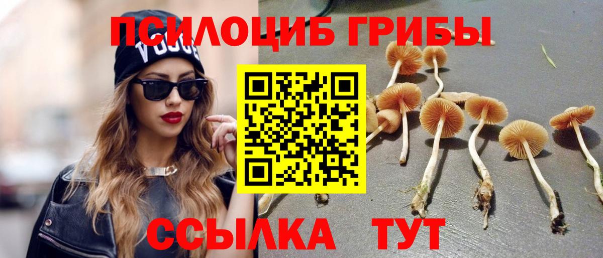 Псилоцибиновые грибы Psilocybine cubensis Пугачёв