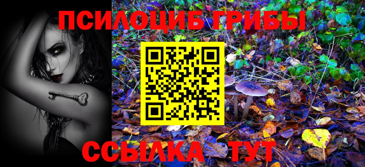 Псилоцибиновые грибы ЛСД  Вход с VPN  Псилоцибиновые грибы GOLDEN TEACHER  Пугачёв 