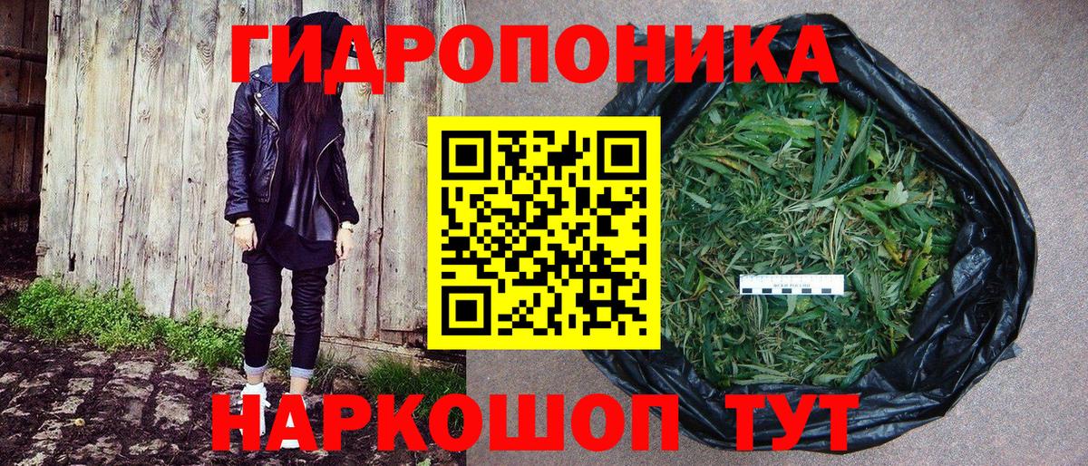 Каннабис Bruce Banner Пугачёв